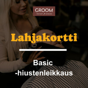 Basic - hiustenleikkaus (30min)